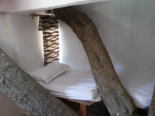 Junglee Resort Rajaji National Park Rishīkesh 客房 照片