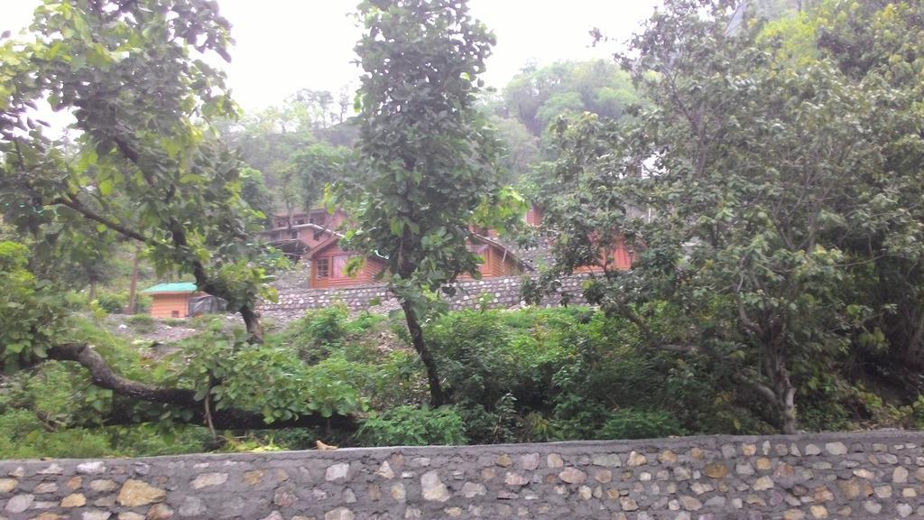 Junglee Resort Rajaji National Park Rishīkesh 客房 照片